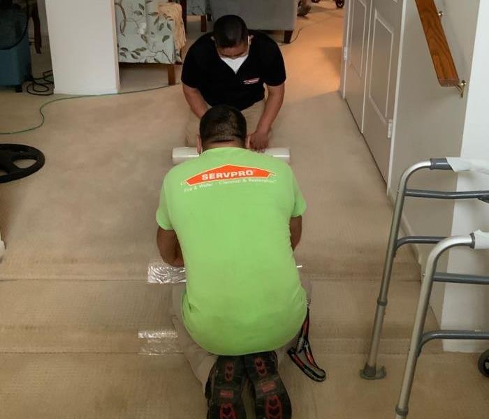 SERVPRO workers on carpet
