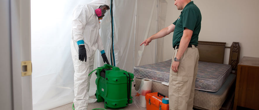 Newport Beach, CA mold removal process